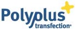 Polyplus-Transfection