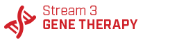 Stream 3 - GENE THERAPY