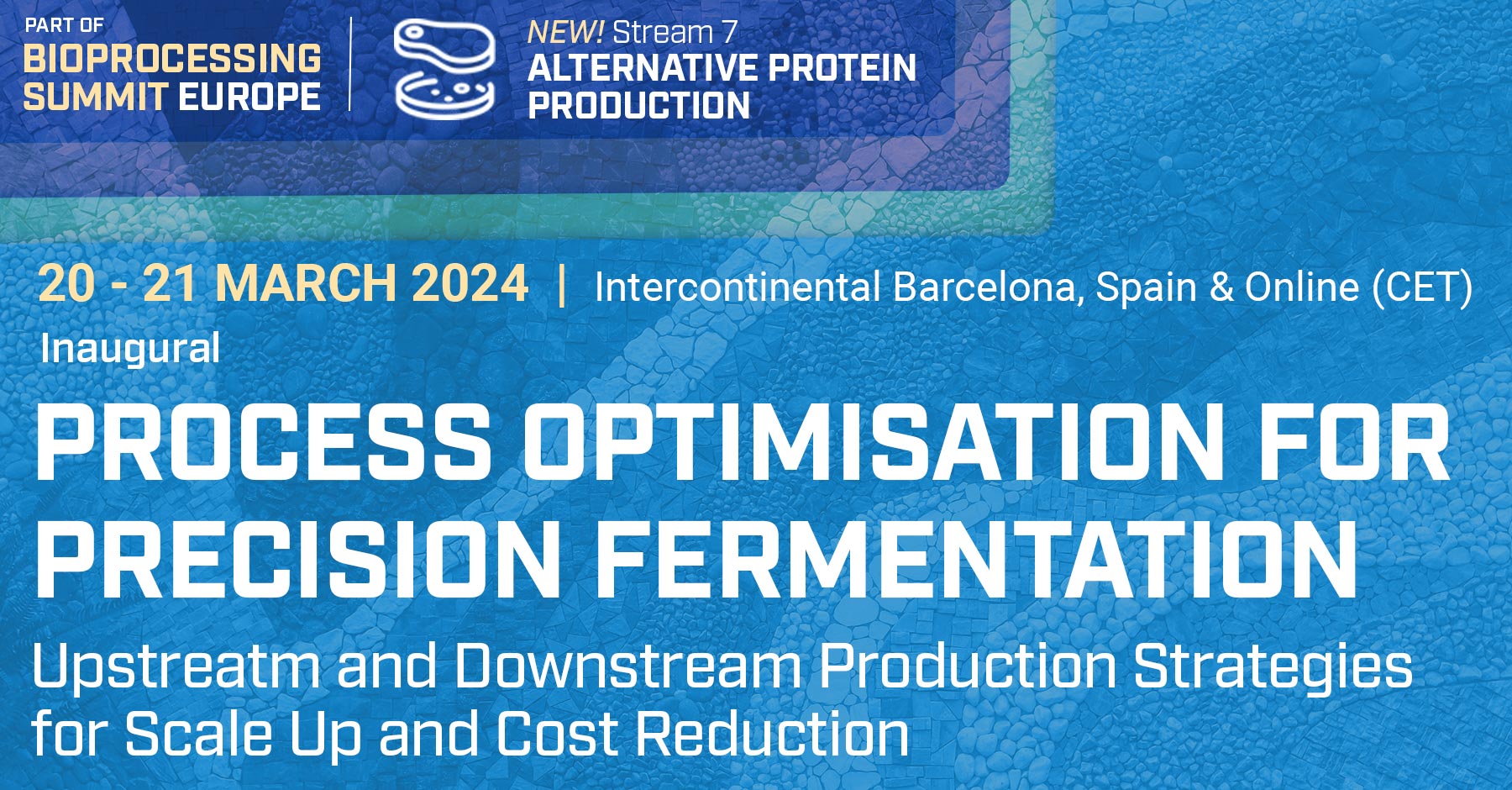 Process Optimisation for Precision Fermentation Bioprocessing Summit Europe