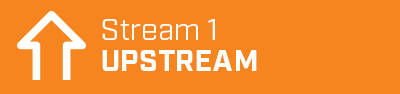UPSTREAM PROCESSING